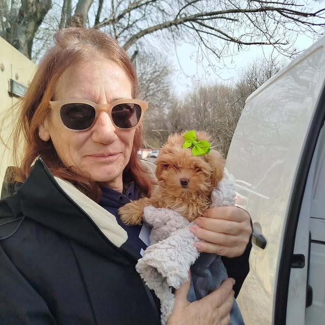 Jennifer W. with her Teacup Maltipoo