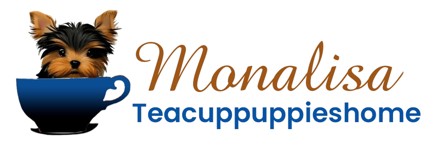 monalisa Teacup puppies